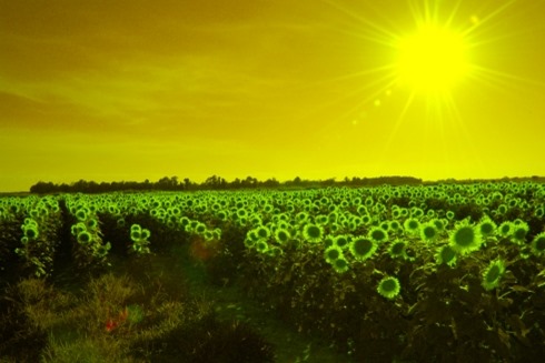 SwapRedAndGreenFixBlue0