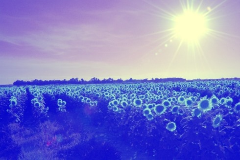 SwapRedAndGreenFixBlue200