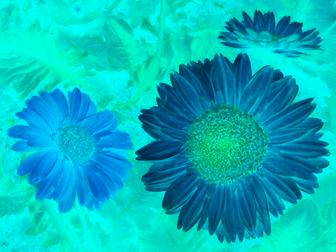 SwapBlueAndGreen_inverted