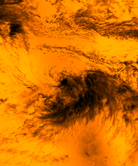 TropicalStorm_OrangeBlend