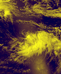 TropicalStorm_PurpleBlend