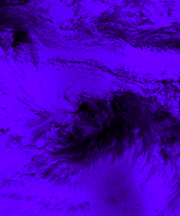 TropicalStorm_VoiletBlend