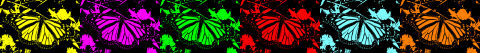 Bitonal_Banner1