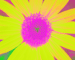 Sunflower-Invert-BlueGreen-ShiftLeft