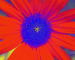 Sunflower-Invert-Green-SwapBlueGreen