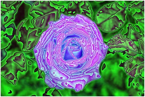 Colour Average Blue Size 11 Shift Right