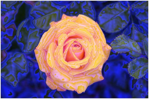 Colour Average Blue Size 11