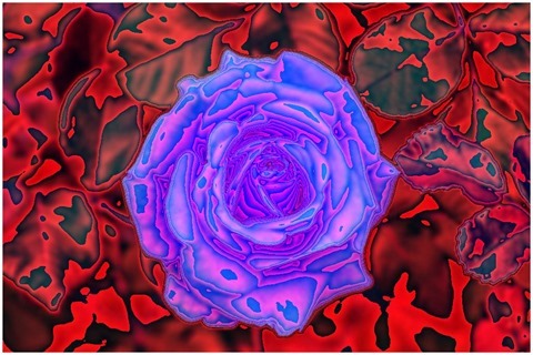 Colour Average Green Size 11 Shift Right