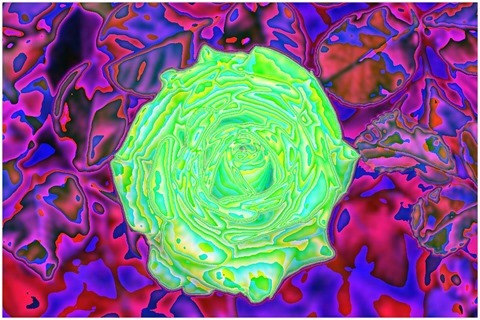 Colour Average Green, Blue Size 11 Shift Left