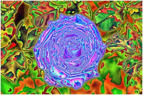 Colour Average Green, Blue Size 11 Shift Right