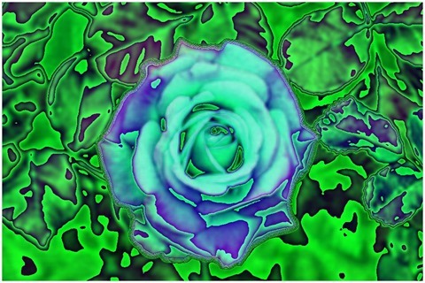 Colour Average Red Size 11 Shift Left