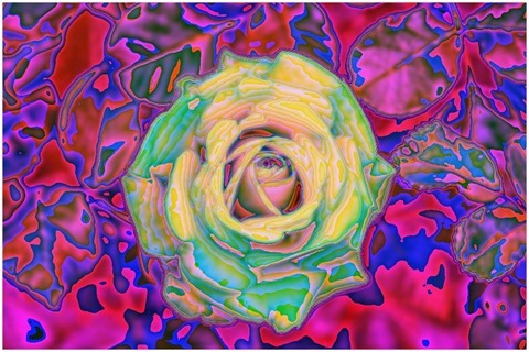 Colour Average Red, Blue Size 11