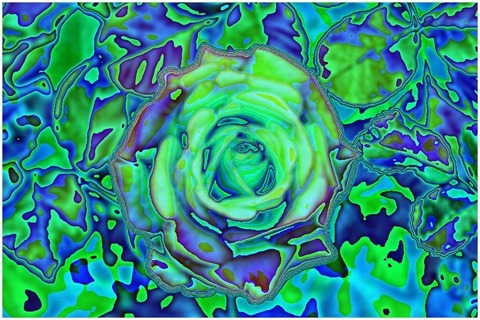 Colour Average Red, Green Size 11 Shift Left