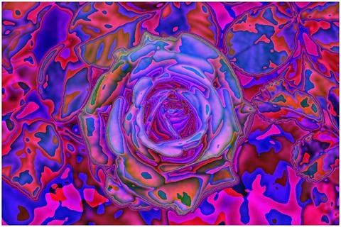 Colour Average Red, Green Size 11 Shift Right