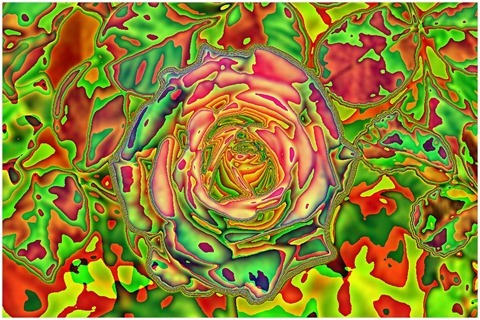 Colour Average Red, Green Size 11