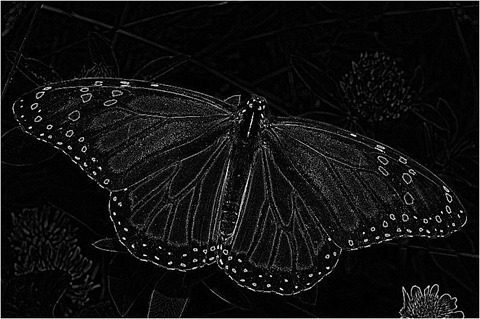 Laplacian 3x3 Grayscale