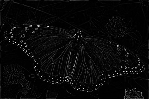 Laplacian 3x3 Of Gaussian 3x3