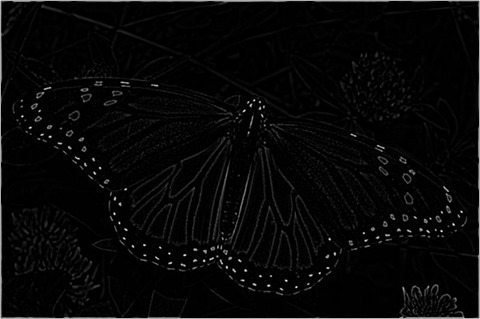 Laplacian 3x3 Of Gaussian 5x5 Type1
