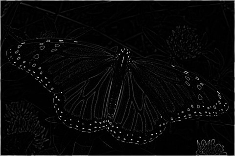 Laplacian 3x3 Of Gaussian 5x5 Type2