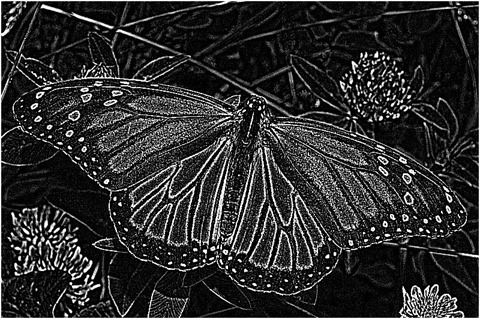 Laplacian 5x5 Grayscale