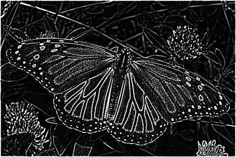 Laplacian 5x5 Of Gaussian 3x3