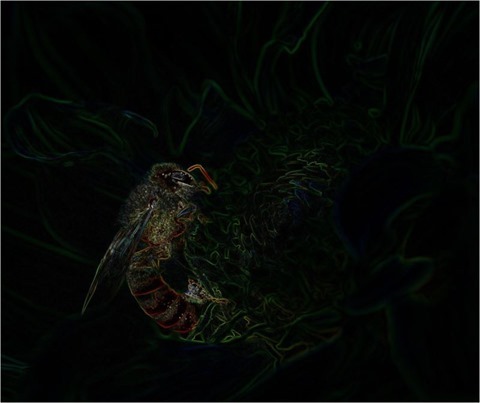 Bee Isotropic 3 x 3 x 8