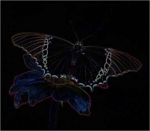 Butterfly Prewitt 3 x 3 x 8