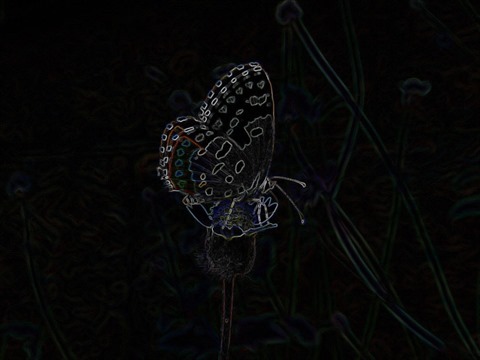 Butterfly Sobel 3 x 3 x 8