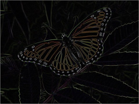 Butterfly Isotropic 3 x 3 x 4