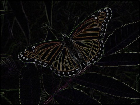 Butterfly Isotropic 3 x 3 x 8