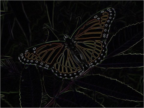 Butterfly Prewitt 3 x 3 x 4