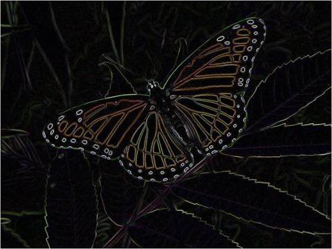 Butterfly Scharr 3 x 3 x 4