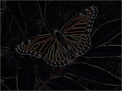 Butterfly Sobel 3  x 3 x 4