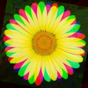 Daisy Rotate Red 0 Green 10 Blue 20