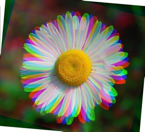 Daisy Rotate Red 15 Green 5 Blue 10