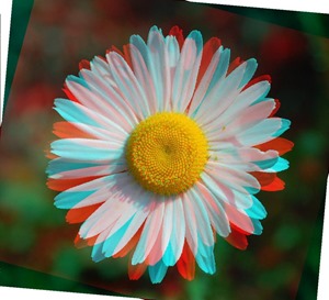 Daisy Rotate Red 15 Green 5 Blue 5