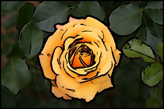 Gaussian 7x7 Threshold 48