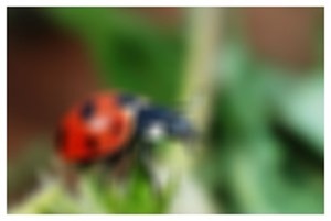 Gaussian Kernel 13x13 Weight 9.5