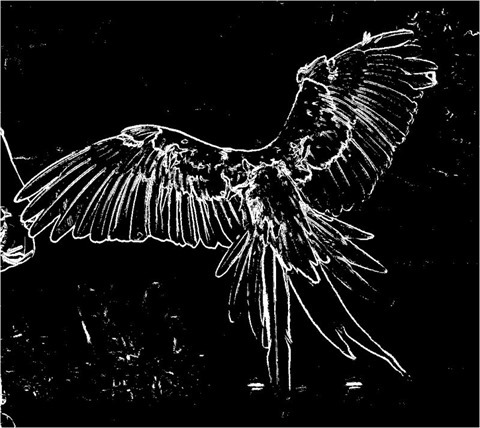 Edge Detect, Second Derivative, Threshold 50 