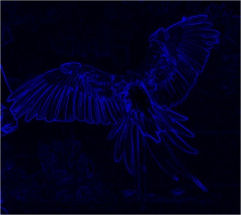 Edge Detect Gradient, First Derivative, Blue