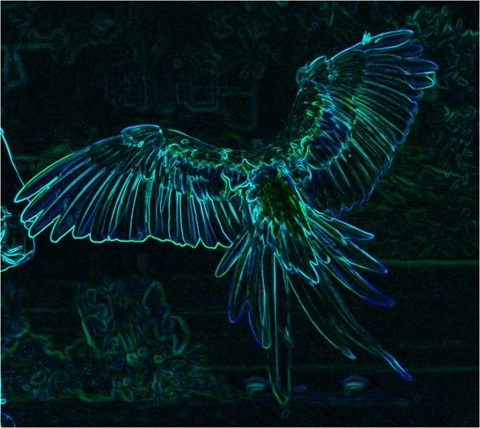 Edge Detect Gradient, First Derivative, Green and Blue