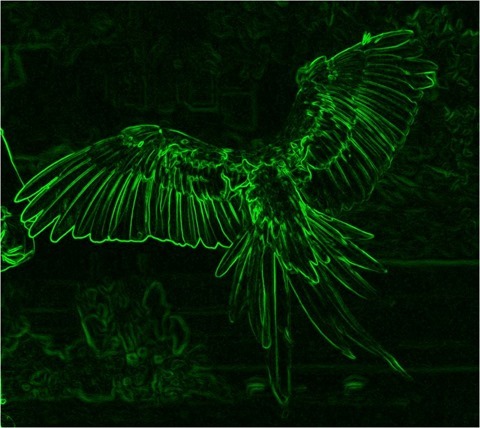 Edge Detect Gradient, First Derivative, Green