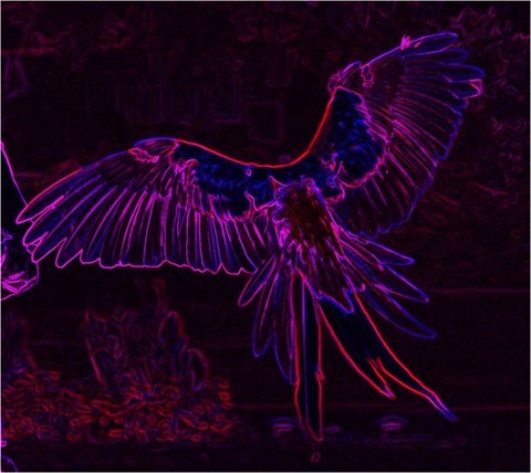 Edge Detect Gradient, First Derivative, Red and Blue