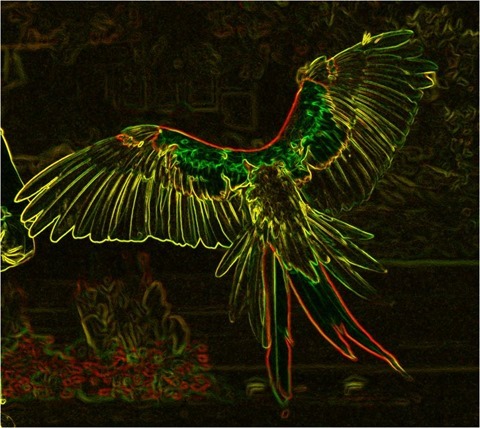 Edge Detect Gradient, First Derivative, Red and Green