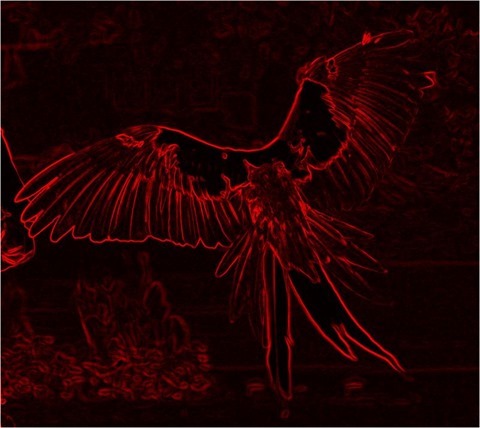 Edge Detect Gradient, First Derivative, Red