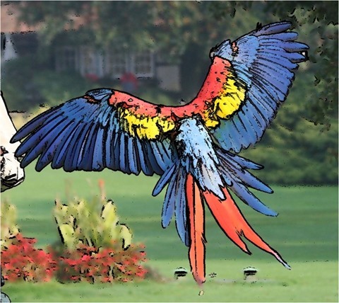 Edge Detect Sharpen, Second Derivative, Threshold 40, Black