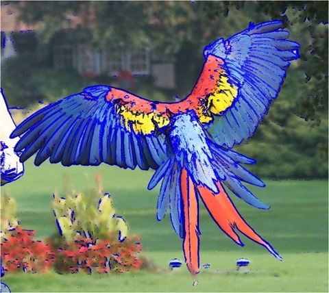 Edge Detect Sharpen, Second Derivative, Threshold 40, Blue