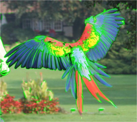 Edge Detect Sharpen, Second Derivative, Threshold 40, Green