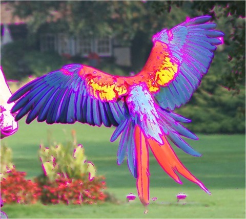 Edge Detect Sharpen, Second Derivative, Threshold 40, Red and Blue