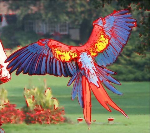 Edge Detect Sharpen, Second Derivative, Threshold 40, Red